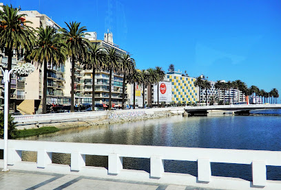 Puente Ecuador