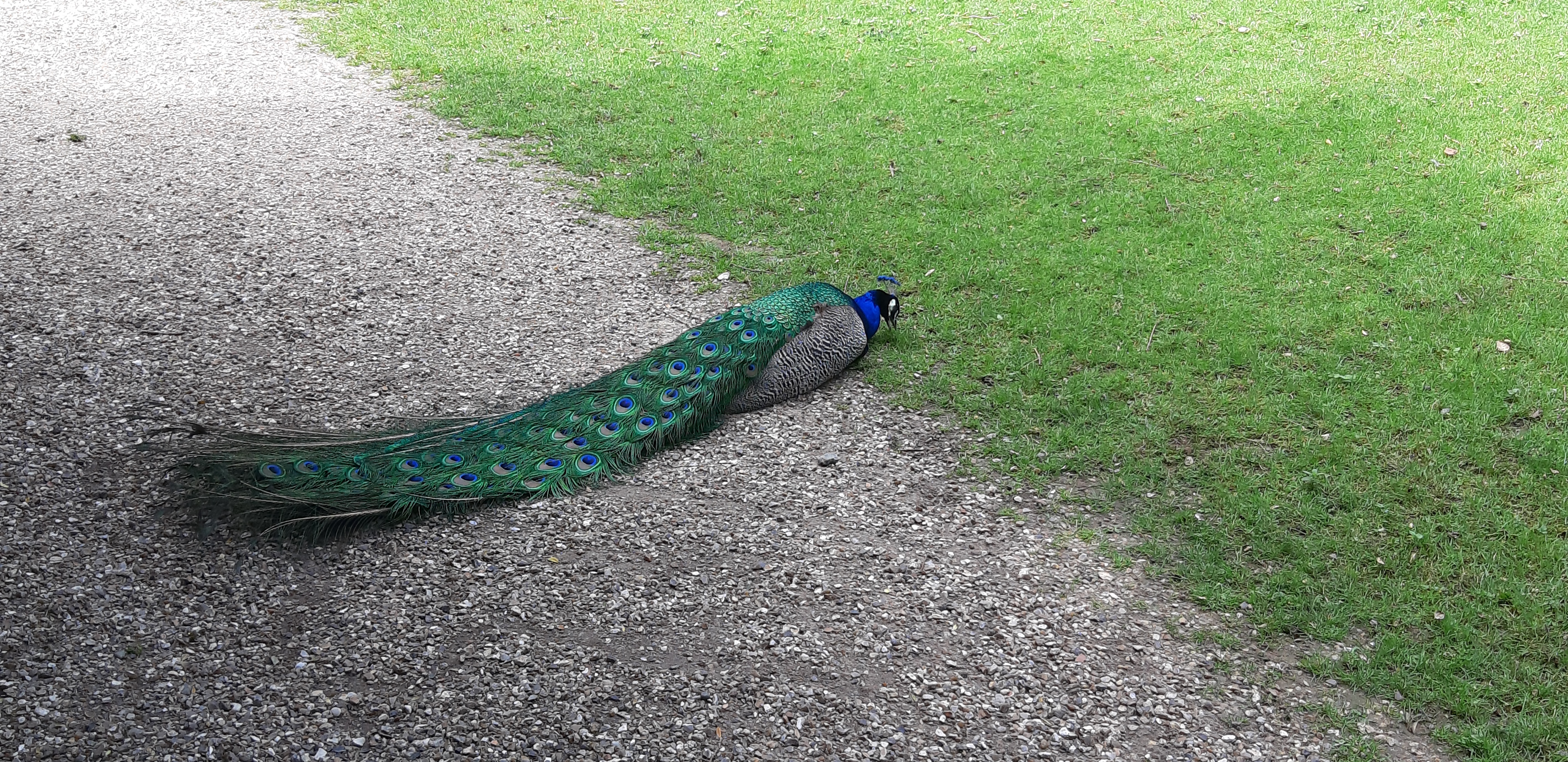 Photo n° 2 de l'avis de Jean.u fait le 30/06/2023 à 14:12