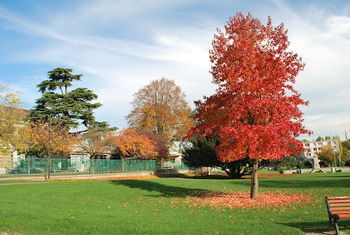 Parc de l'ancienne mairie à Saint-Brice-sous-Forêt