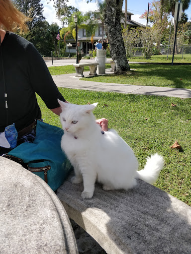 Religious Organization «Cassadaga Spiritualist Camp», reviews and photos