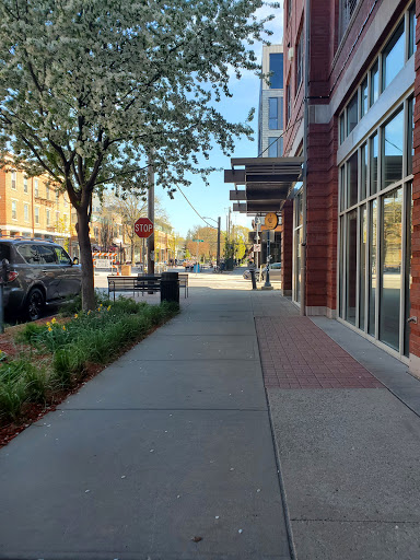 Coffee Shop «The High Ground Cafe», reviews and photos, 301 E Market St, Iowa City, IA 52245, USA