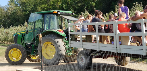 Nature Preserve «Princess Ledges Nature Preserve», reviews and photos, 4361 Spruce Ave, Brunswick, OH 44212, USA