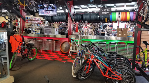 The Cyclist Bike Shop