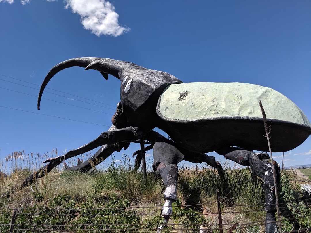 Herkimer, the Worlds Largest Beetle