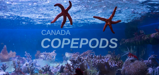 Canada Copepods