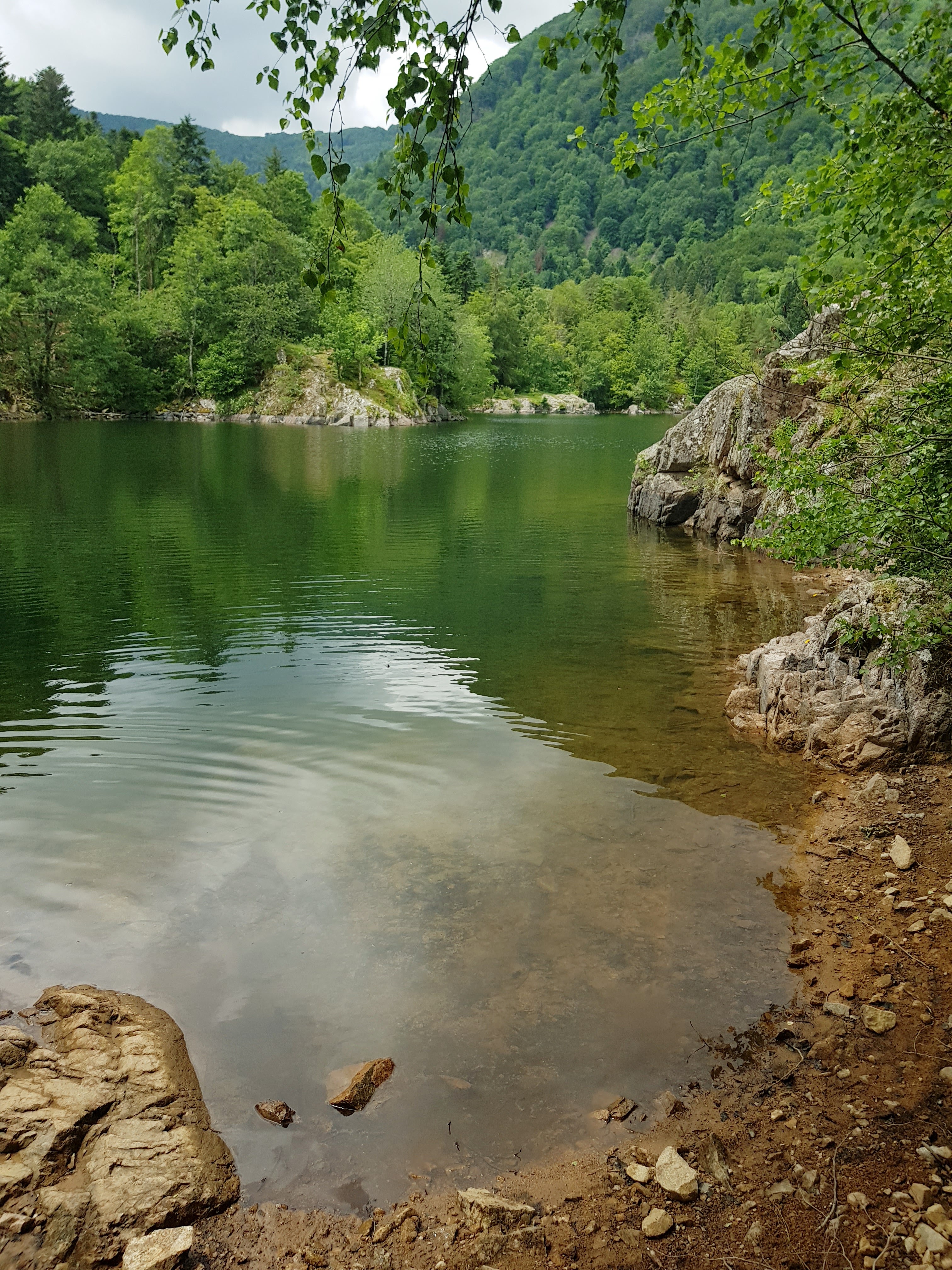 Photo n° 5 de l'avis de Delphine.A fait le 22/06/2019 à 12:39
