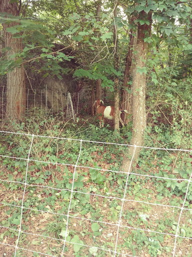 Park «Dorchester Park», reviews and photos, 2180 Dorchester Ave, Dorchester, MA 02124, USA