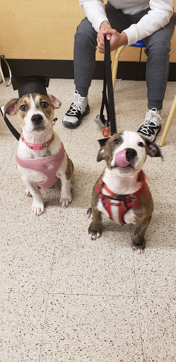 Pet Supply Store «PetSmart», reviews and photos, 50 International Dr S, Flanders, NJ 07836, USA