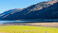 Coyote Lake-Harvey Bear Ranch County Park - Photo 3 - Car repair in Gilroy, CA, Gilroy