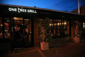 One Tree Grill image