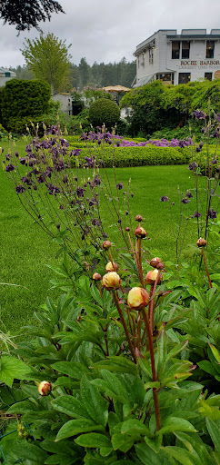 Grocery Store «Roche Harbor Grocery Store», reviews and photos, 248 Reuben Memorial Dr, Friday Harbor, WA 98250, USA