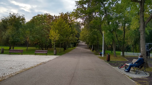Pantelimon Park