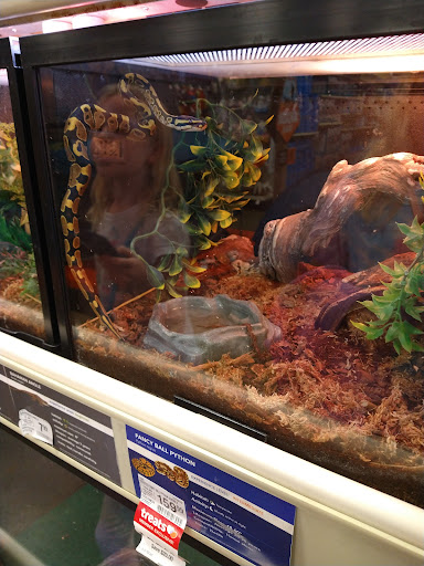 Pet Supply Store «PetSmart», reviews and photos, 745 W Huntington Dr, Monrovia, CA 91016, USA