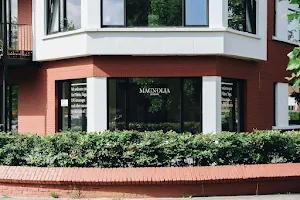 Magnolia Studios image