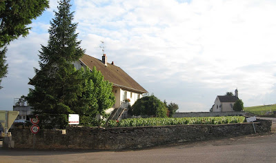 Domaine Pascal MURE à Volnay