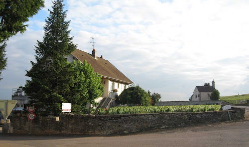 Domaine Pascal MURE à Volnay