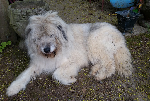 Tourist Attraction «Tollen Farm», reviews and photos, 11681 SW Tooze Rd, Wilsonville, OR 97070, USA