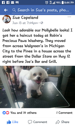 Pet Groomer «Precious Paws Pet Grooming», reviews and photos, 1807 Franklin St, Michigan City, IN 46360, USA