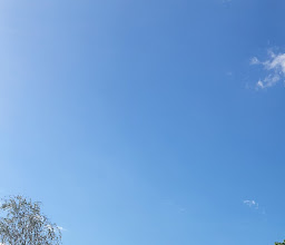 Park photo