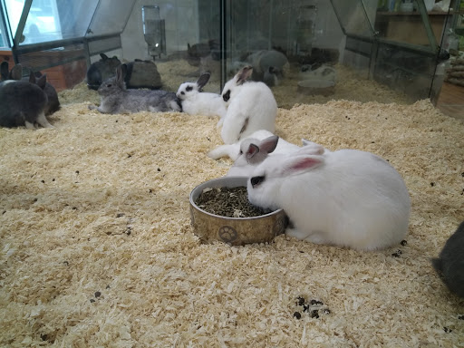 Animal Center