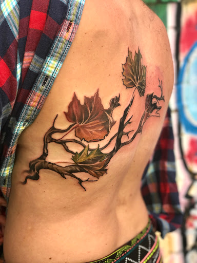 Tattoo Shop «Freaks & Geeks Tattoo Sideshow», reviews and photos, 745 Haywood Rd, Asheville, NC 28806, USA