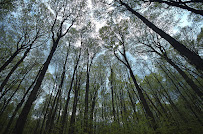 PUR Mindful - Mental Health, Mindfulness Wilmington - Photo 4 - Car repair in Wilmington, NC, Wilmington