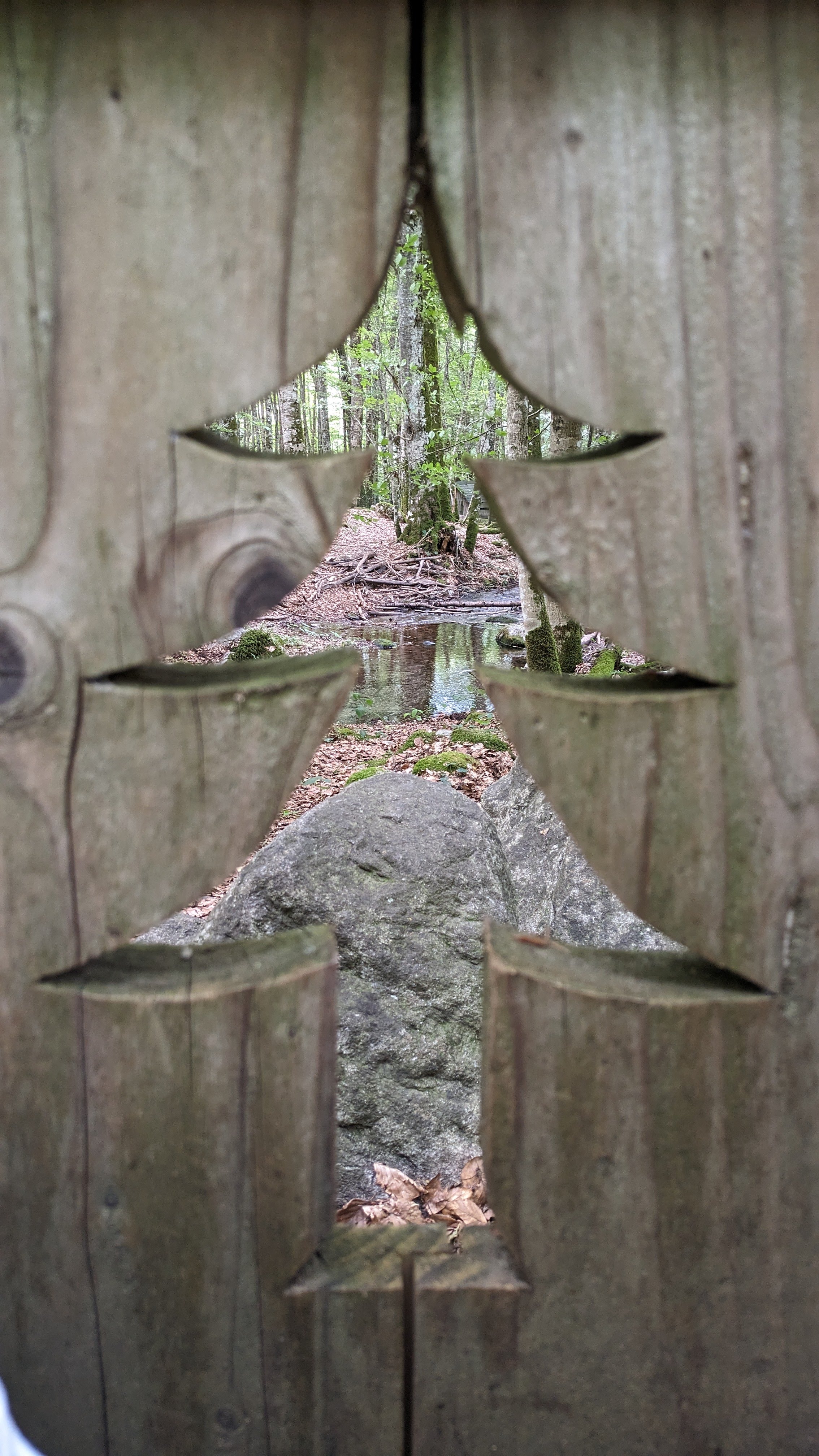 Photo n° 15 de l'avis de Dada.e fait le 15/08/2023 à 12:32