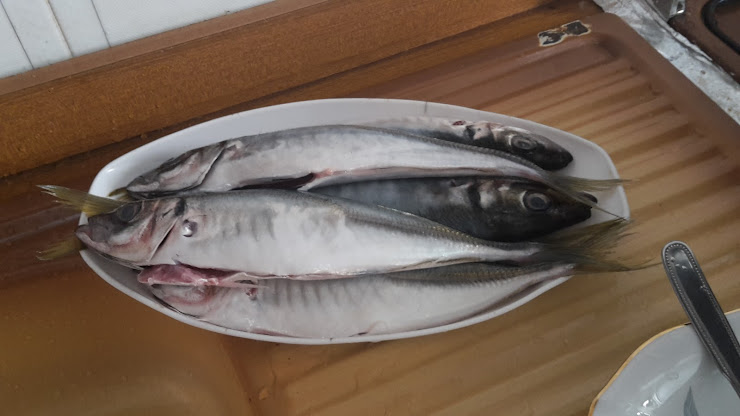 Plats et boissons Casa vacanza VILLA EMILIA 91022 Triscina