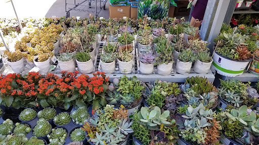 Home Improvement Store «The Home Depot», reviews and photos, 11939 San Pablo Ave, El Cerrito, CA 94530, USA