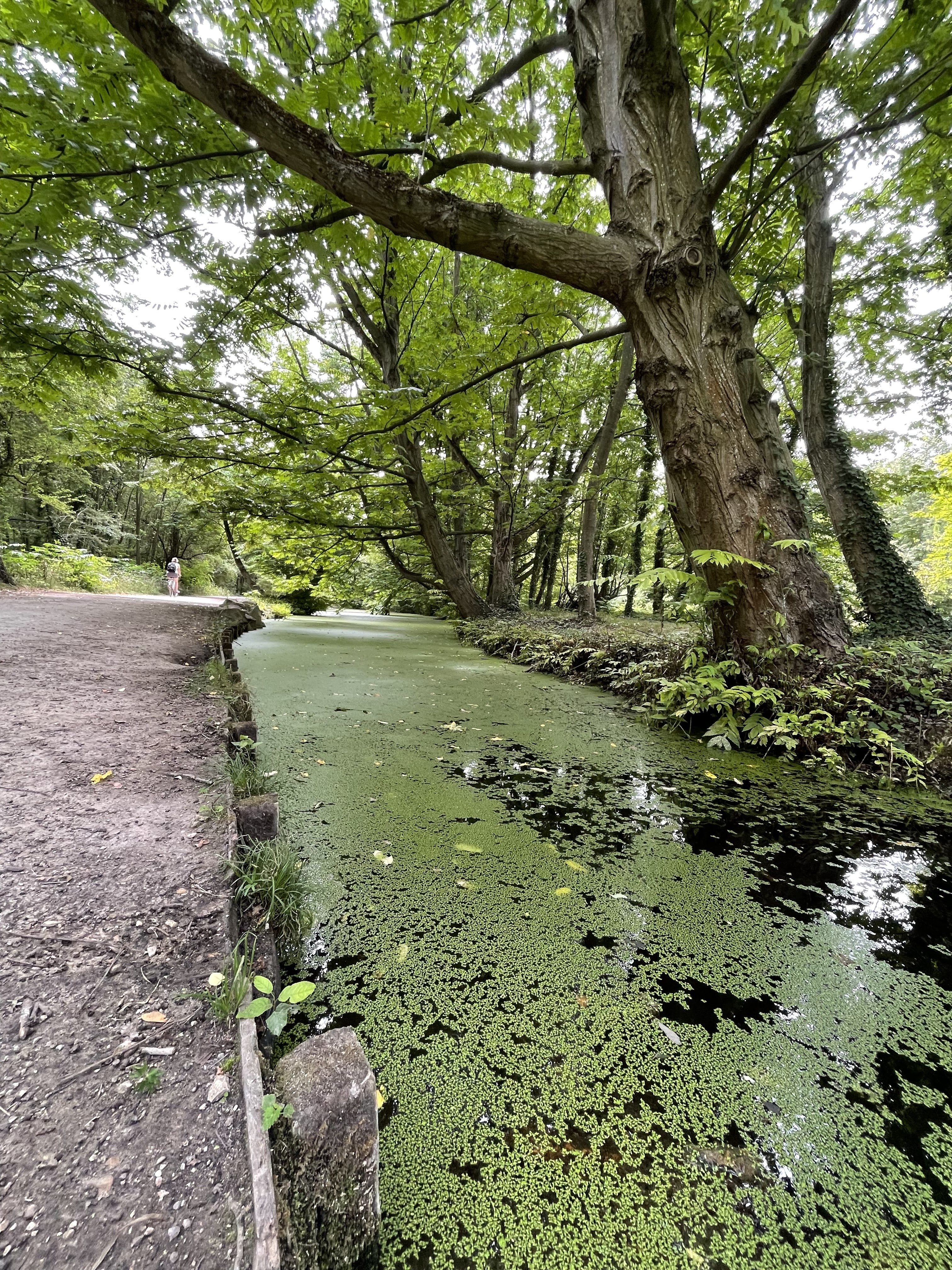Photo n° 7 de l'avis de Antoine.i fait le 05/08/2023 à 20:07