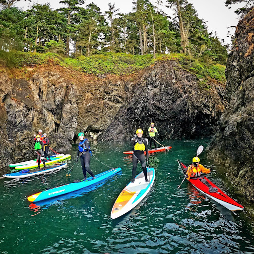 Salmon Bay Paddle