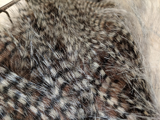 Fabric Store «Jo-Ann Fabrics and Crafts», reviews and photos, 154 N Peters Rd, Knoxville, TN 37923, USA