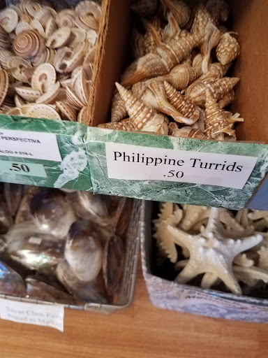 Gift Shop «The Shell Store», reviews and photos, 8211 Ulmerton Rd, Largo, FL 33771, USA
