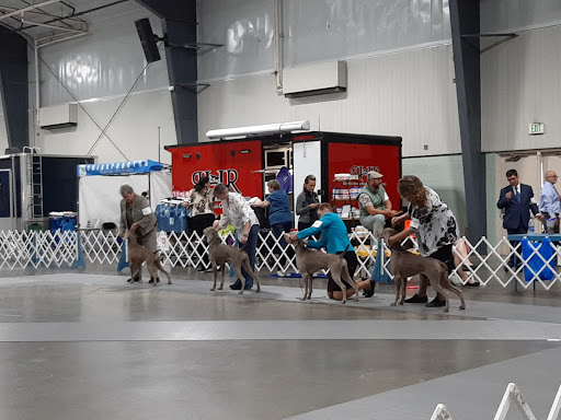 Fast Food Restaurant «Chick-fil-A», reviews and photos, 1222 Hwy 74 S, Peachtree City, GA 30269, USA