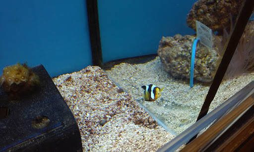 Pet Supply Store «Petco Animal Supplies», reviews and photos, 1520 Military Rd #130, Niagara Falls, NY 14304, USA