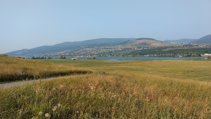 Nature Reserve Swan Lake