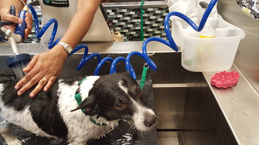 Pet Supply Store «Unleashed by Petco», reviews and photos, 432 Westlake Center, Daly City, CA 94015, USA