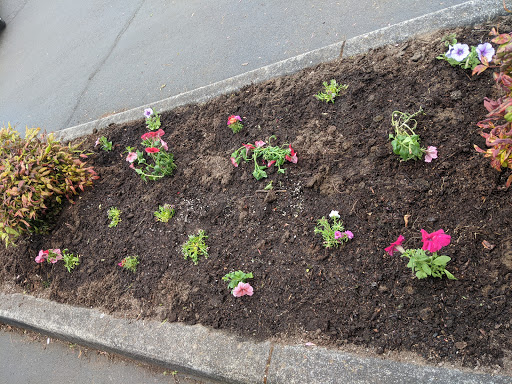 Hair Salon «Salon Wisp», reviews and photos, Salon Wisp, 4672 Commercial St SE, Salem, OR 97302, USA