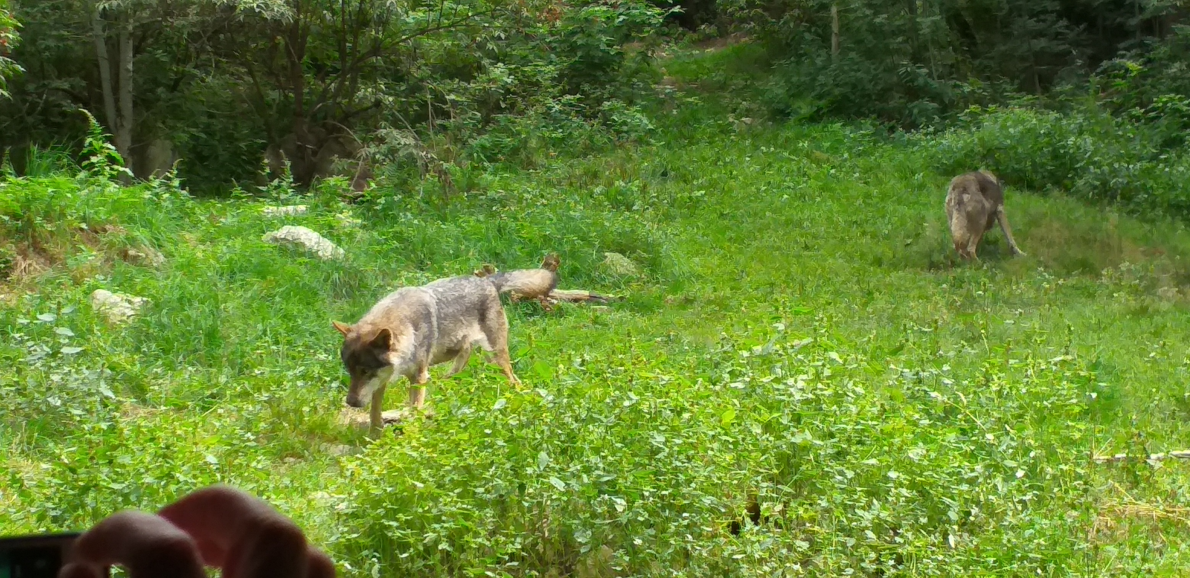 Photo n° 3 de l'avis de medhy.u fait le 20/08/2019 à 14:40