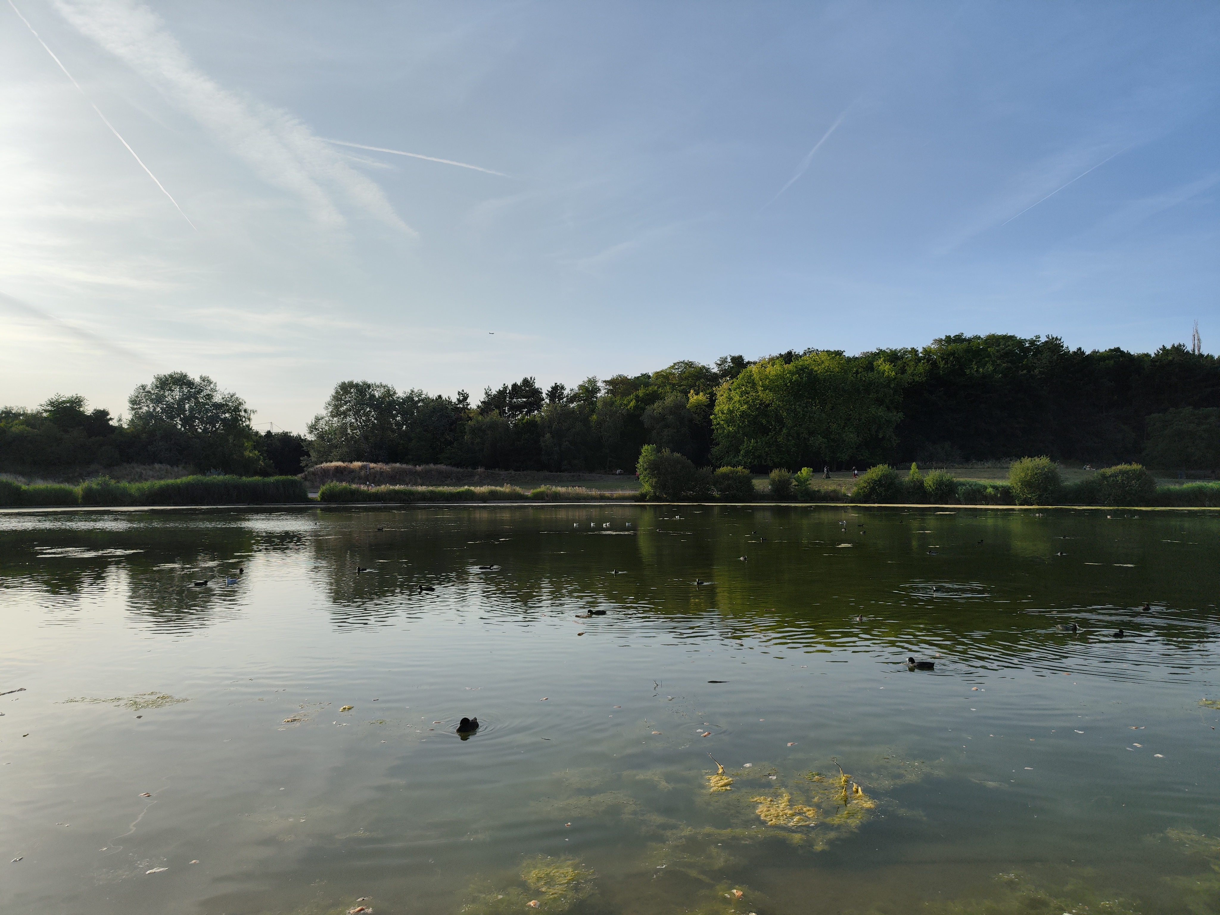 Photo n° 2 de l'avis de Google.u fait le 25/07/2022 à 16:53