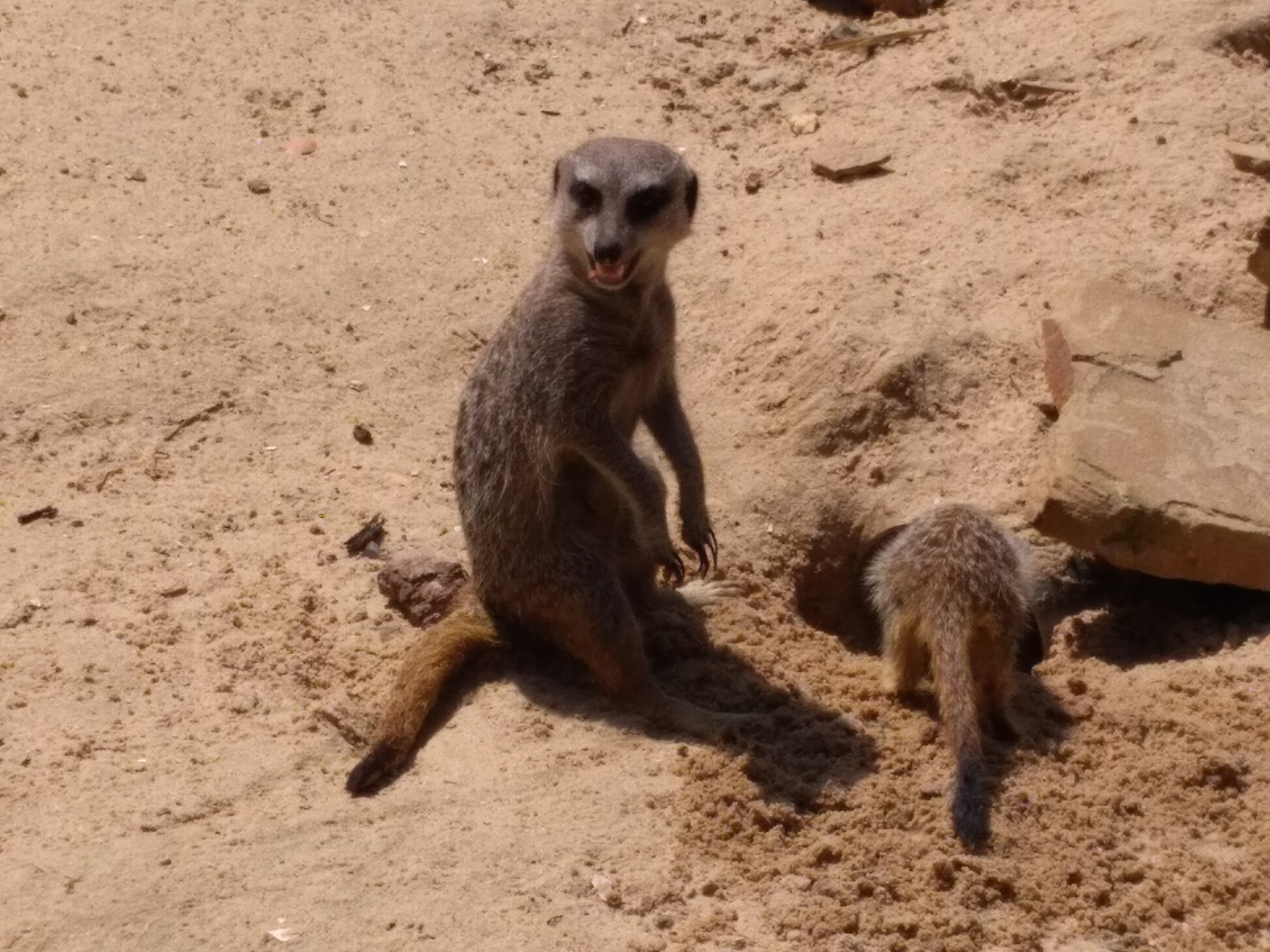 Photo n° 4 de l'avis de Antonin.r fait le 26/05/2018 à 15:29