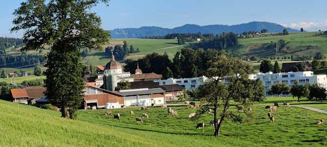 Kloster Menzingen - Zug