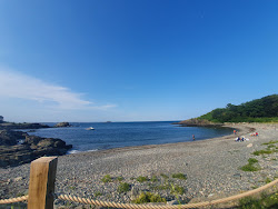 Canoes Beach'in fotoğrafı vahşi alan