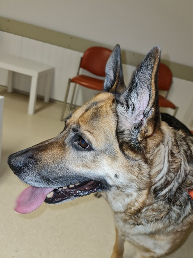 Animal Clinic Drs. Brauer unter Munster, 