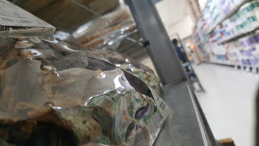 Shopping Mall «Carrollton Shopping Center», reviews and photos, 8474 Annapolis Rd, New Carrollton, MD 20784, USA