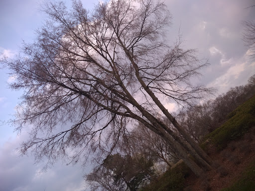 Private Golf Course «The Standard Club», reviews and photos, 6230 Abbotts Bridge Rd, Johns Creek, GA 30097, USA