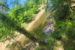 Polecat Creek image