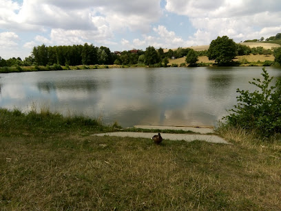Dolní bělovodský rybník