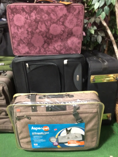 Thrift Store «Halifax Humane Society, Inc. Thrift Store», reviews and photos