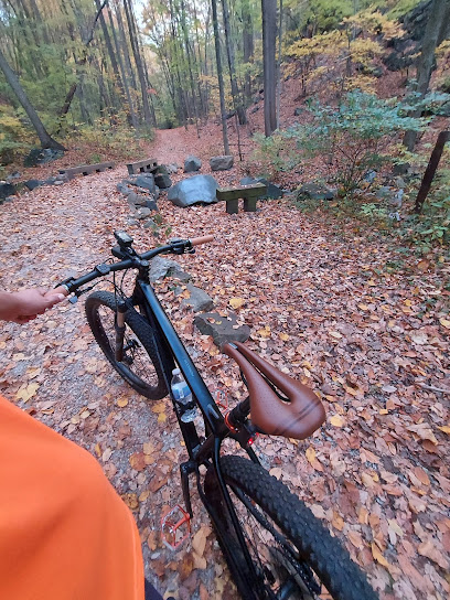 Neversink loop